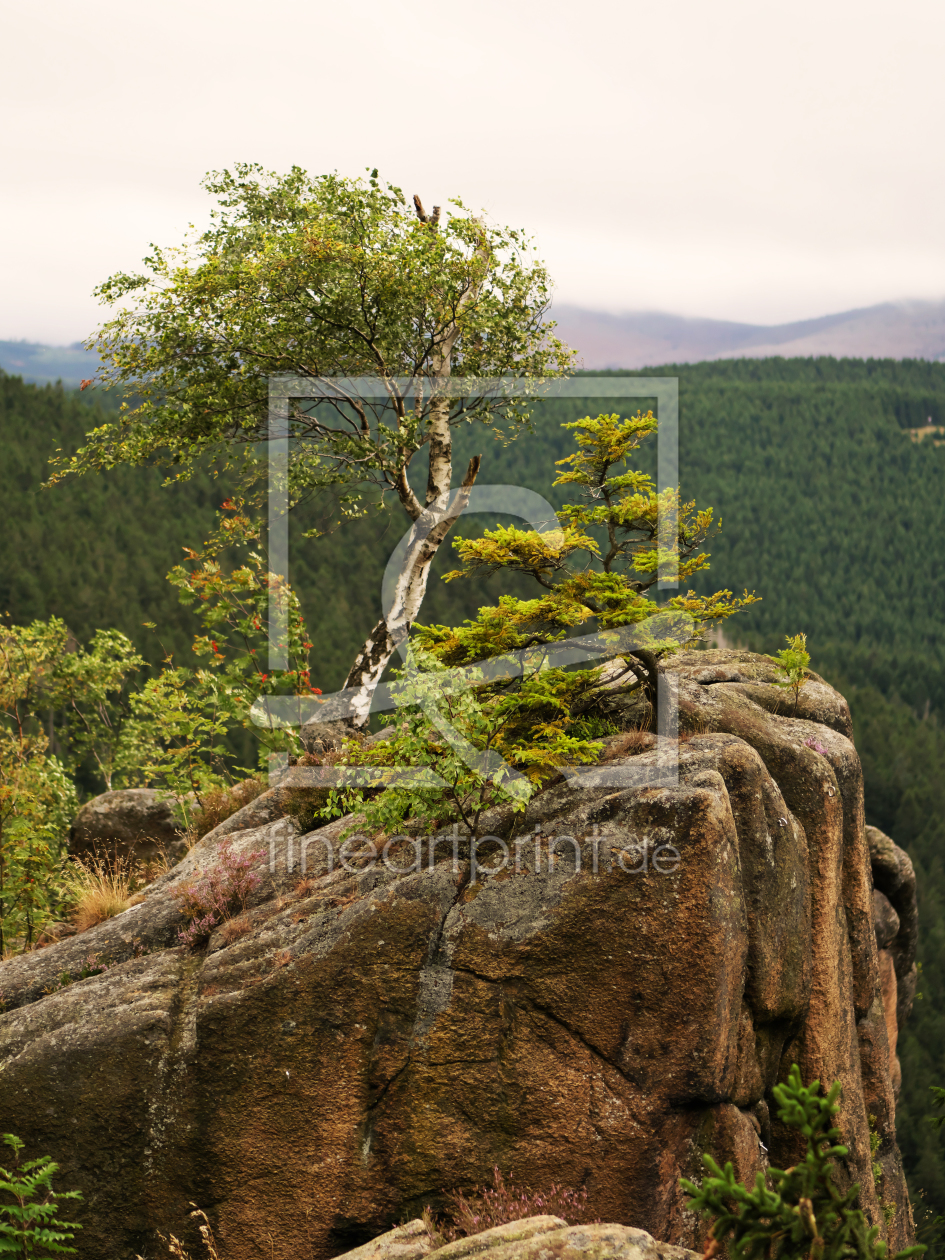 Bild-Nr.: 11797290 Rabenklippe erstellt von dresdner