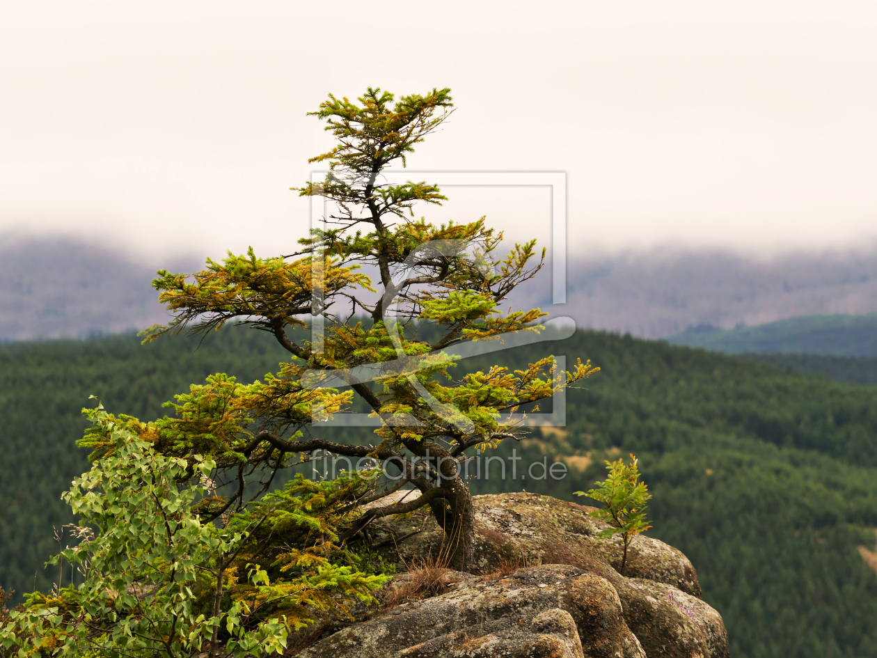 Bild-Nr.: 11797296 Rabenklippe erstellt von dresdner