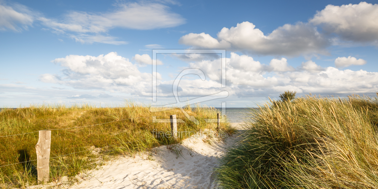 Bild-Nr.: 11798156 Sommerwind am Ostseestrand erstellt von Ursula Reins