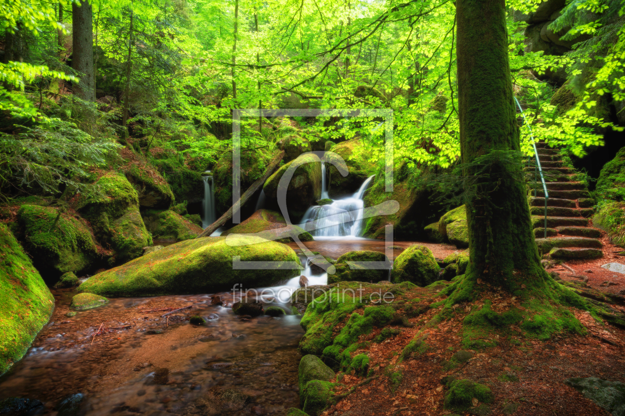 Bild-Nr.: 11798578 Wald Wildbach Schwarzwald Wasserfall erstellt von Thomas Herzog