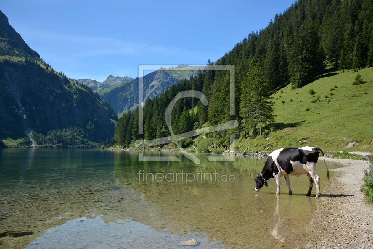 Bild-Nr.: 11798810 Tierischer Durst erstellt von GUGIGEI