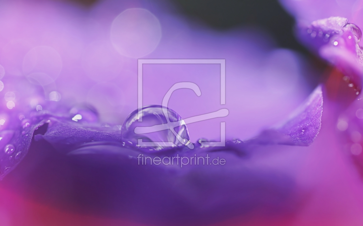 Bild-Nr.: 11800562 Purple Rain erstellt von youhaveadream