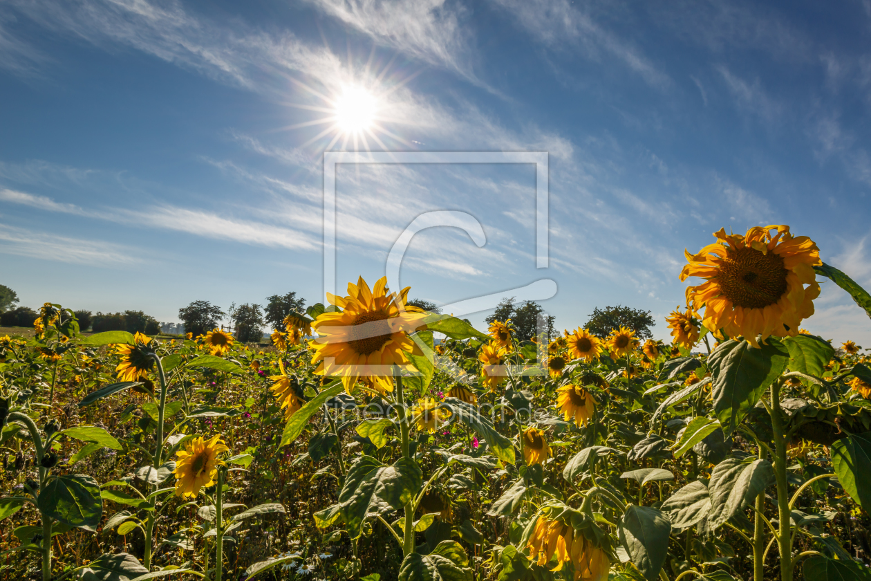 Bild-Nr.: 11805880 Blumen ` Kinder erstellt von Ursula Reins