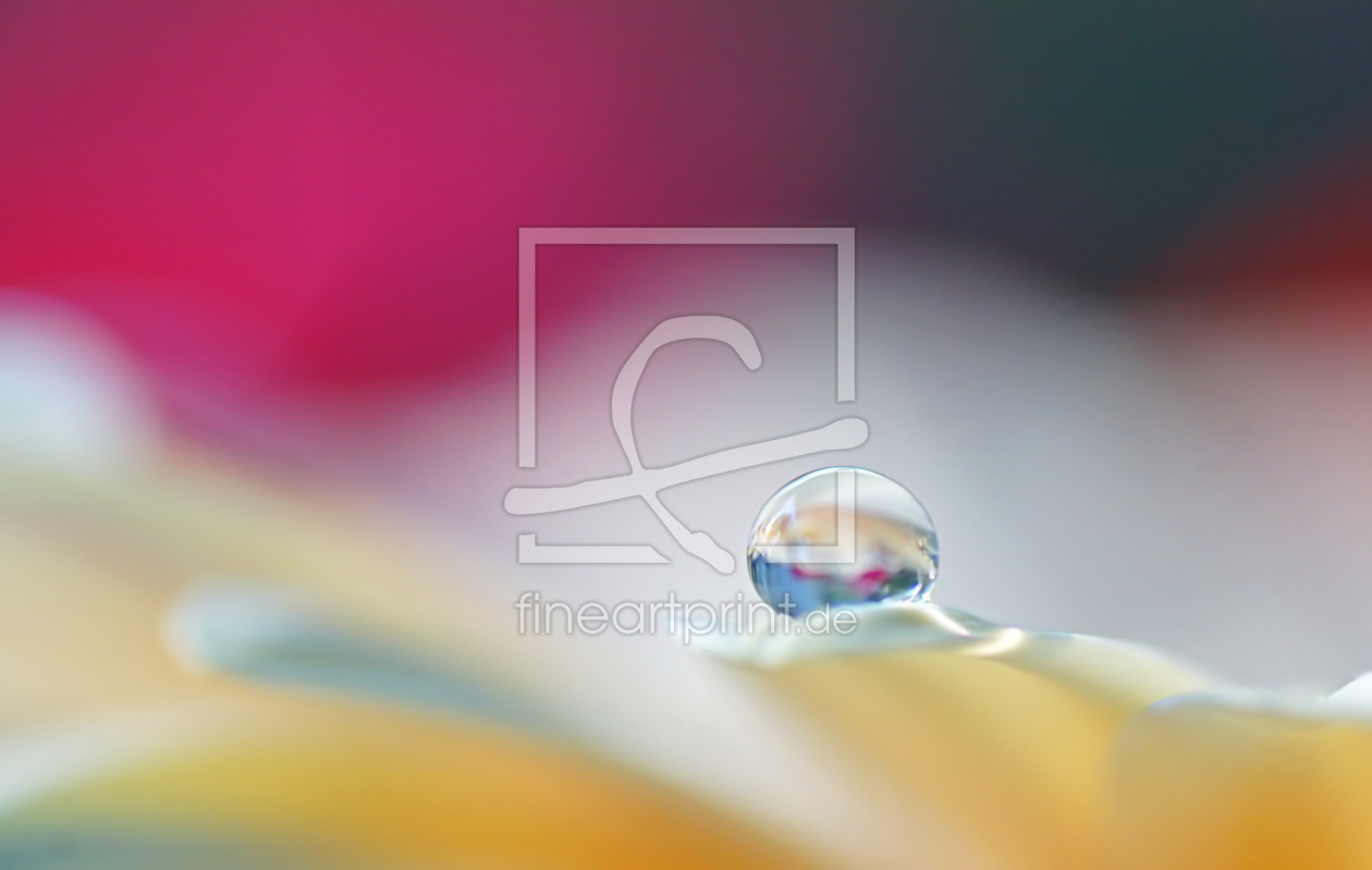 Bild-Nr.: 11806028 World of drops erstellt von youhaveadream