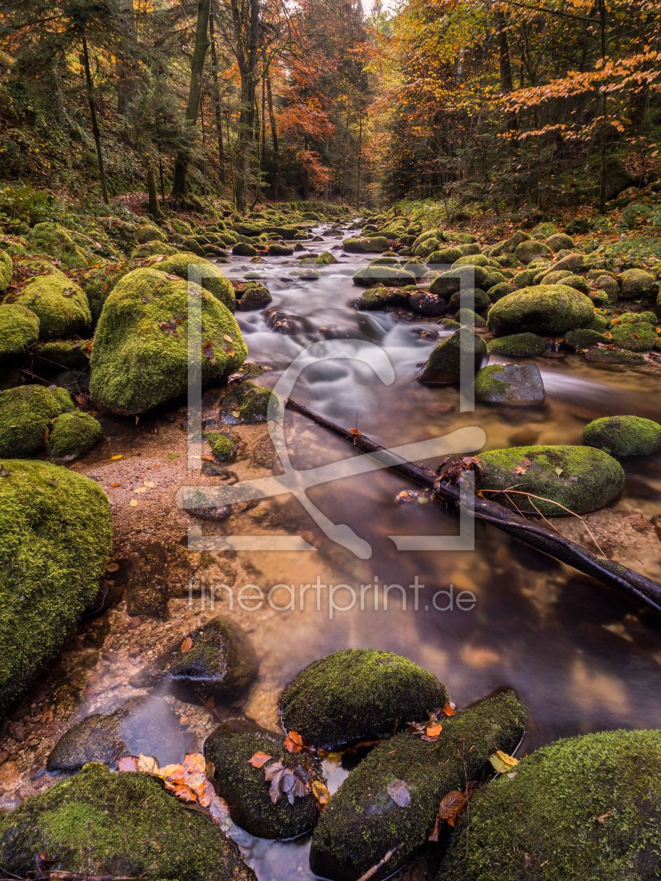 Bild-Nr.: 11807174 Mystic River Fluss Grobbach im Schwarzwald erstellt von MBittel