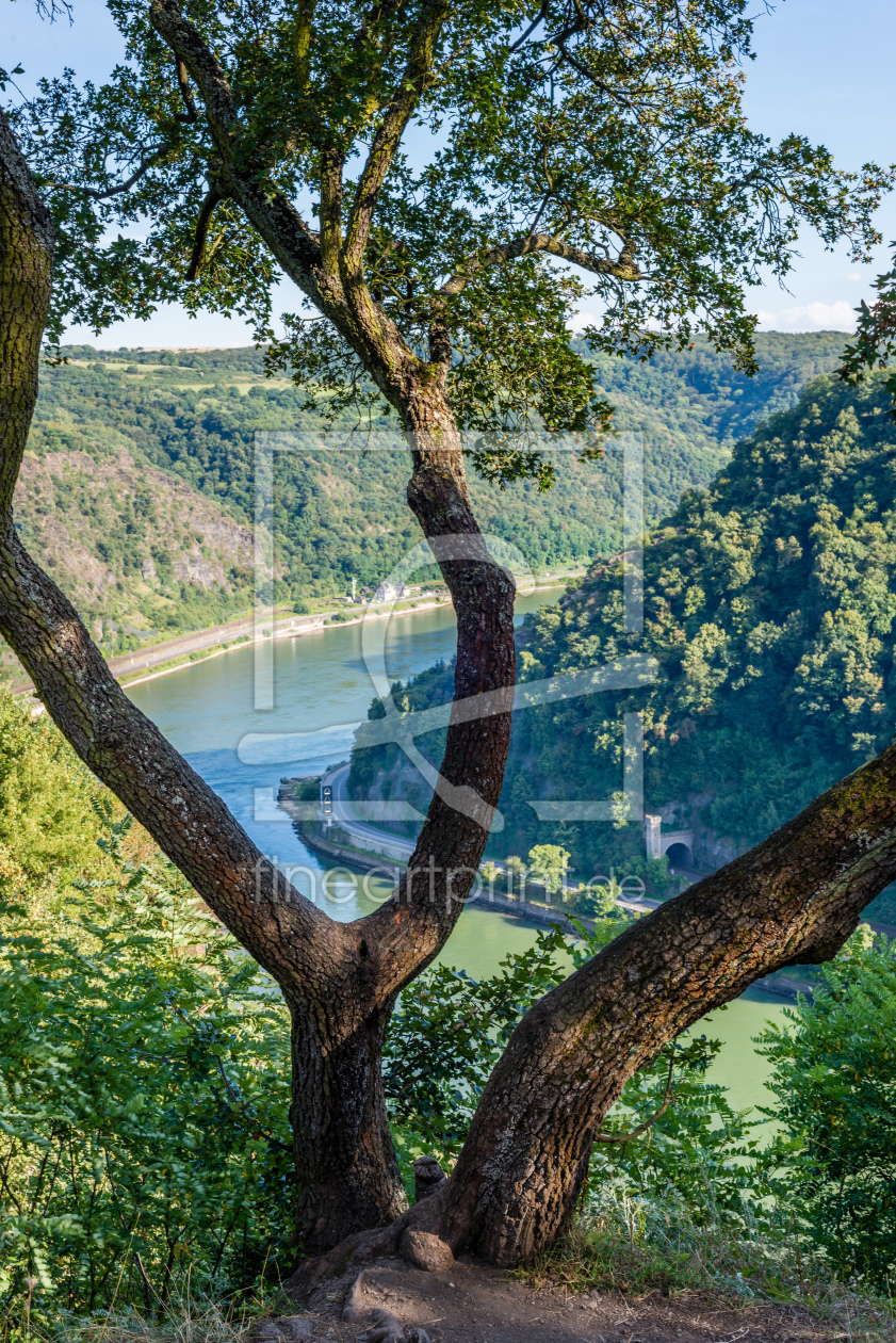 Bild-Nr.: 11807658 Loreleypanorama 82 erstellt von Erhard Hess