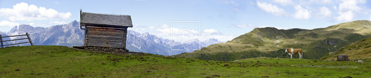 Bild-Nr.: 11807940 Tiroler Alm erstellt von Leopold-Brix