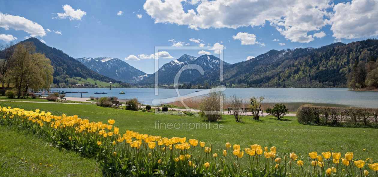 Bild-Nr.: 11809610 Schliersee mit Tulpen erstellt von SusaZoom