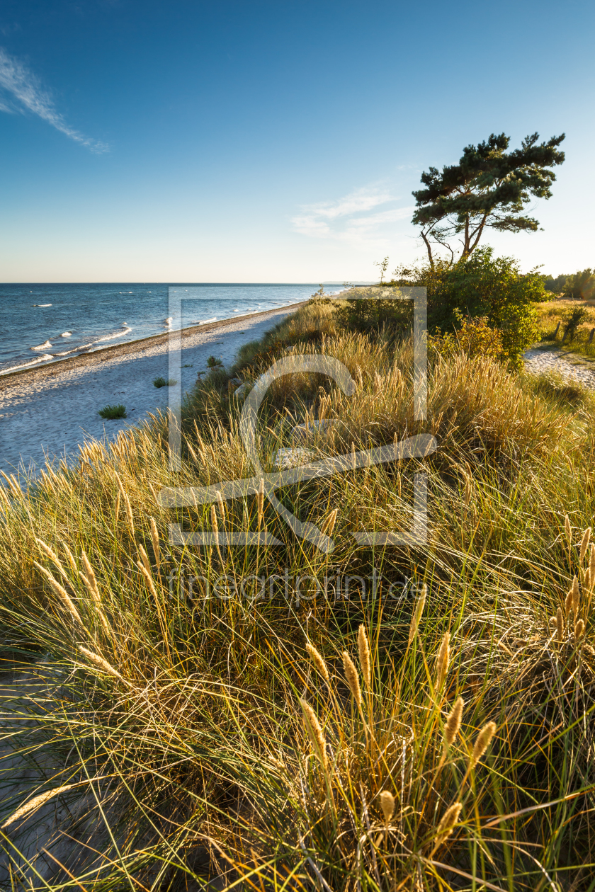 Bild-Nr.: 11811748 Ostseeküste ` Schleswig Holstein    erstellt von Ursula Reins