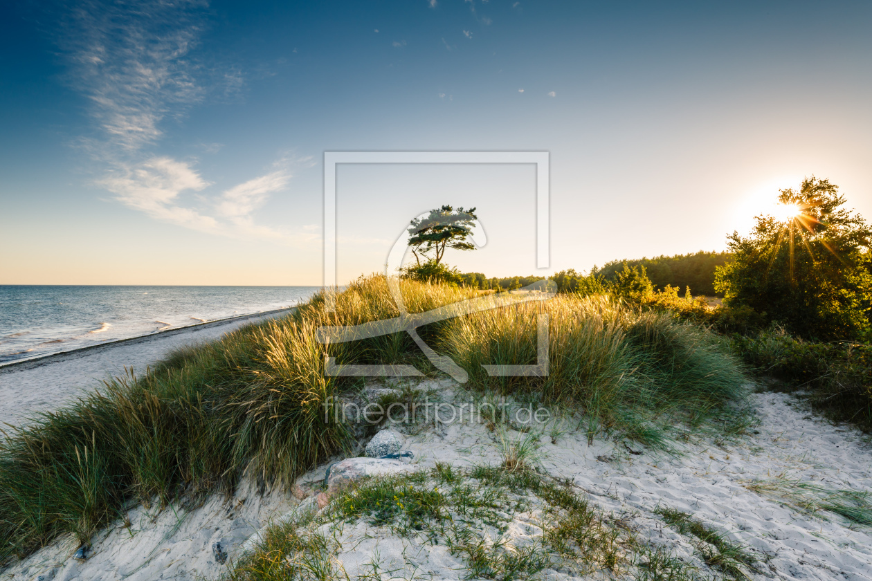 Bild-Nr.: 11811752 Sommer` Sonne` Ostseestrand erstellt von Ursula Reins