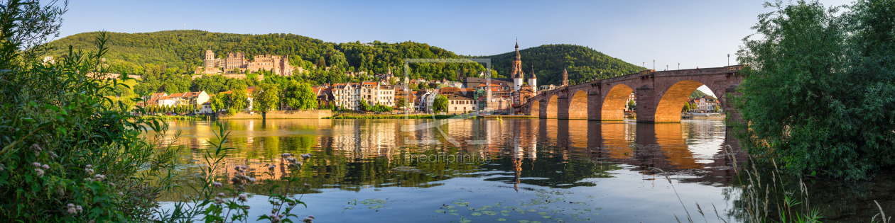 Bild-Nr.: 11812816 Heidelberg Panorama im Sommer erstellt von eyetronic