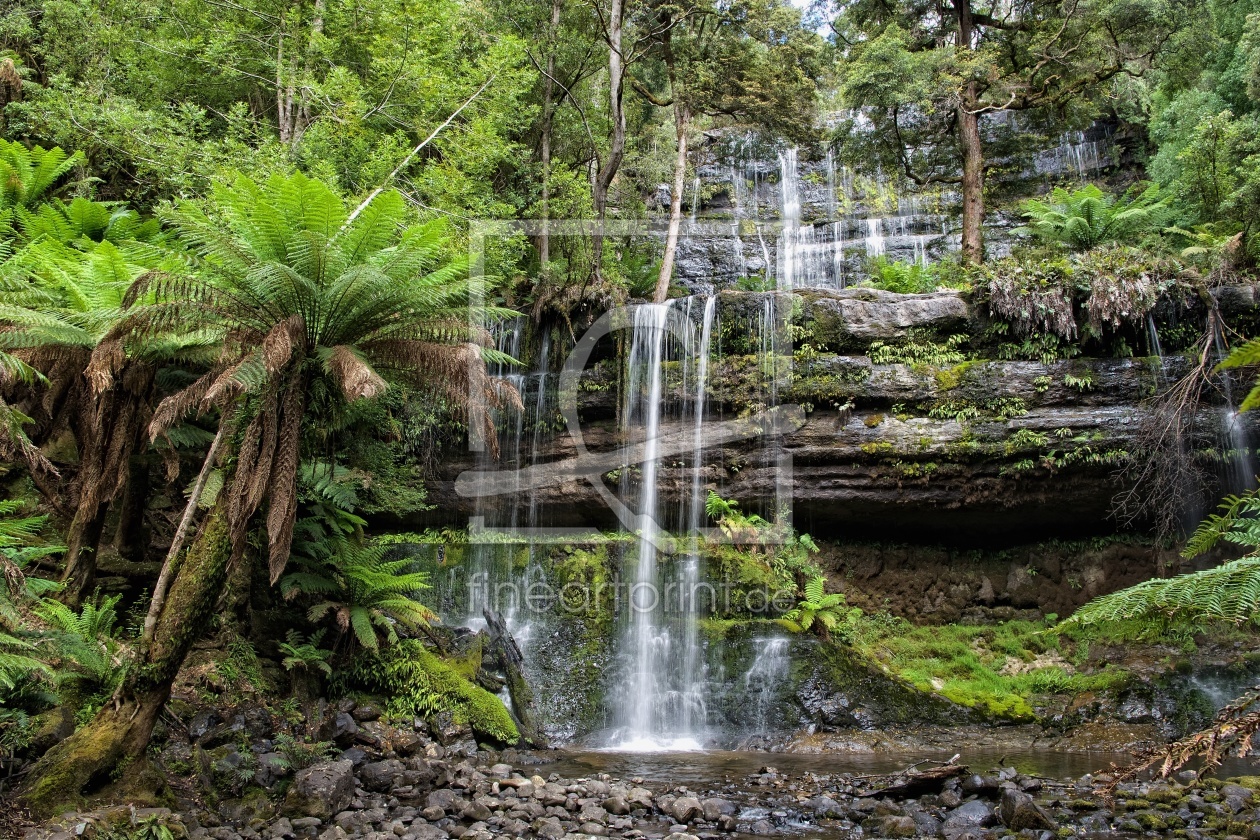 Bild-Nr.: 11812882 Russel Falls erstellt von klippser