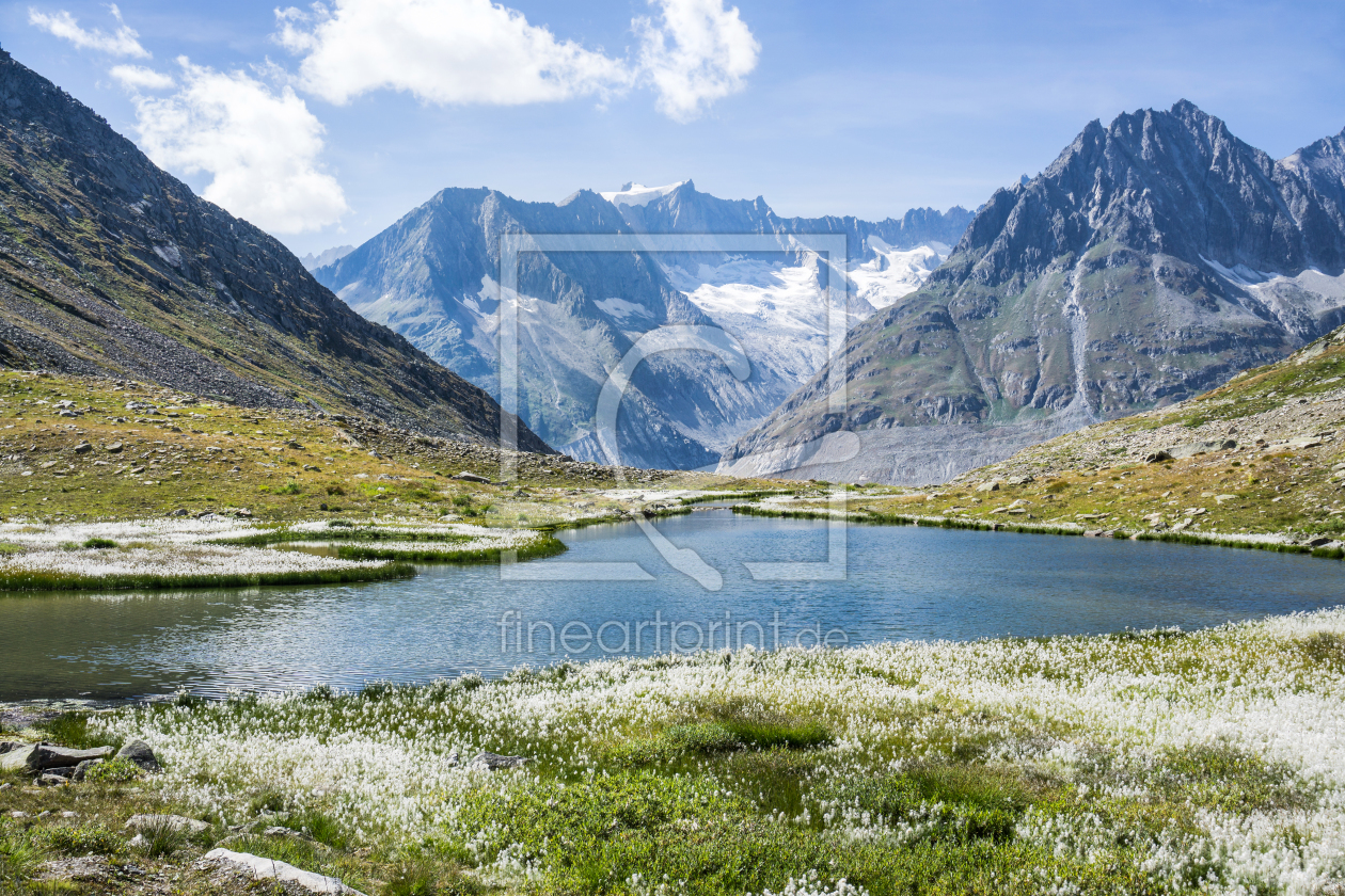 Bild-Nr.: 11813334 Märjelensee am Aletsch erstellt von IngeborgF