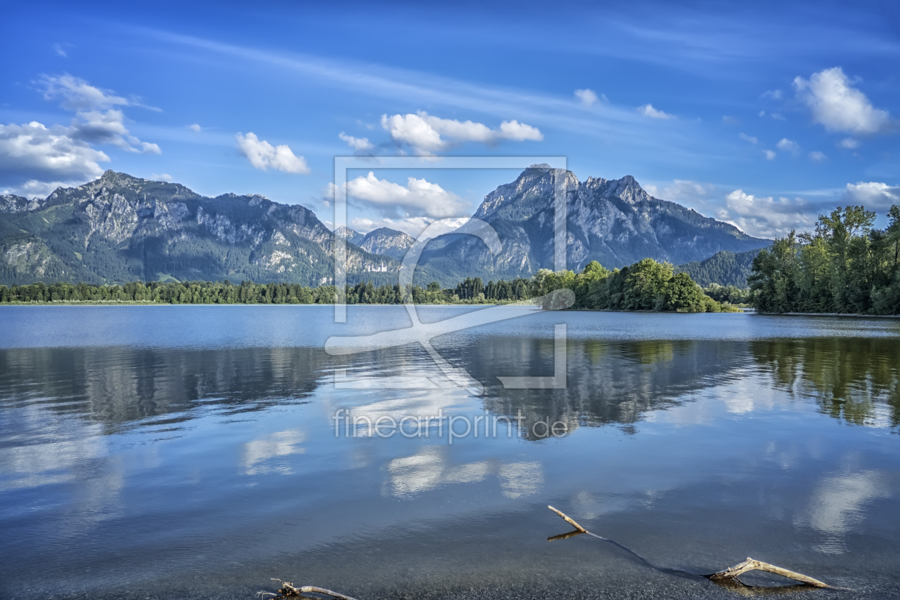 Bild-Nr.: 11814496 Forggensee mit Neuschwanstein erstellt von Markus Gann