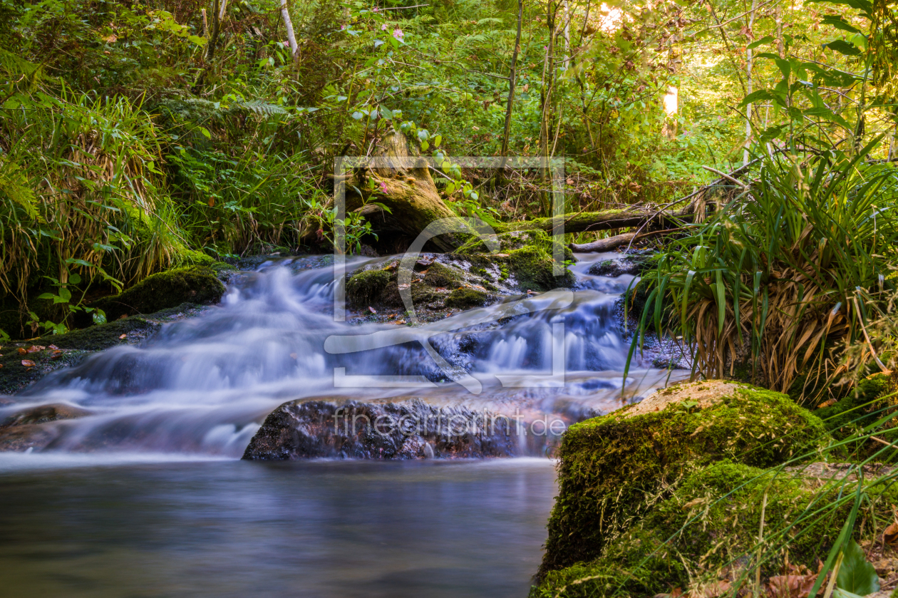 Bild-Nr.: 11819445 Flusslauf im schönen Schwarzwald erstellt von Kunze Kunze