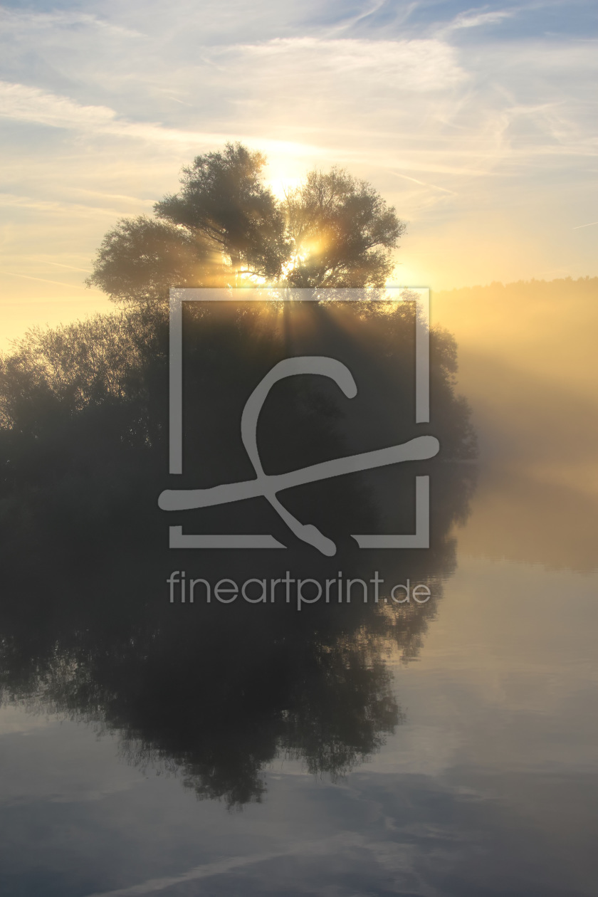 Bild-Nr.: 11819511 Morgensonne und Nebel 2 erstellt von falconer59