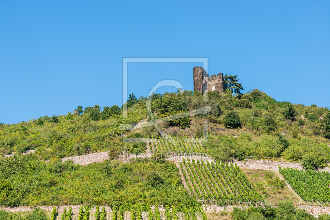 Bild-Nr.: 11819709 Burg Nollig bei Lorch 4 erstellt von Erhard Hess