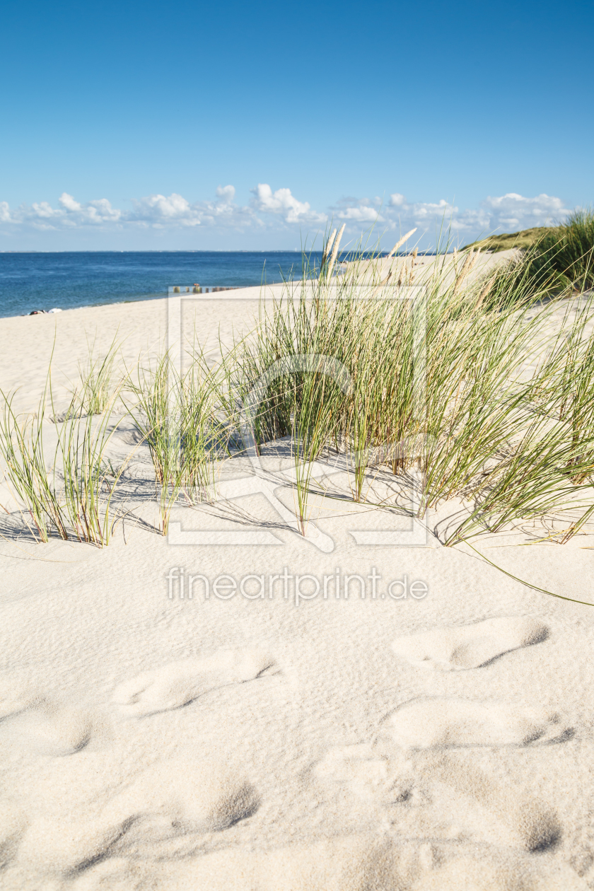 Bild-Nr.: 11820843 Sommer auf Sylt erstellt von Ursula Reins