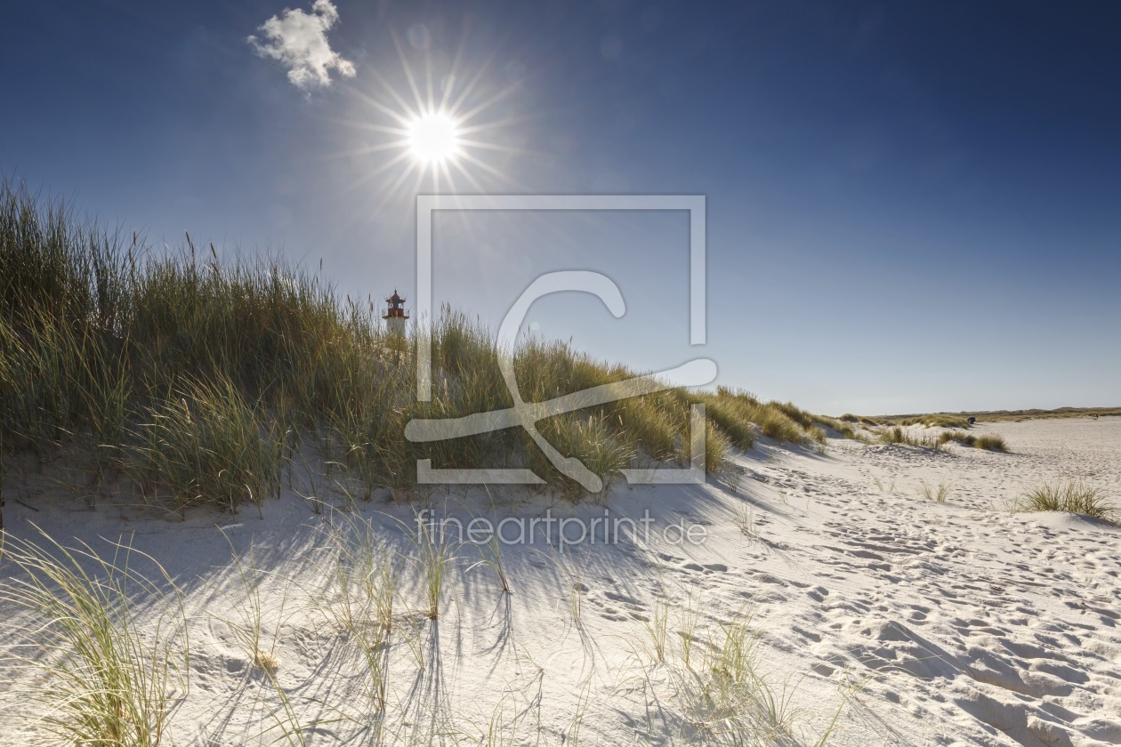 Bild-Nr.: 11821041 LIGHT ON DUNES erstellt von Ursula Reins