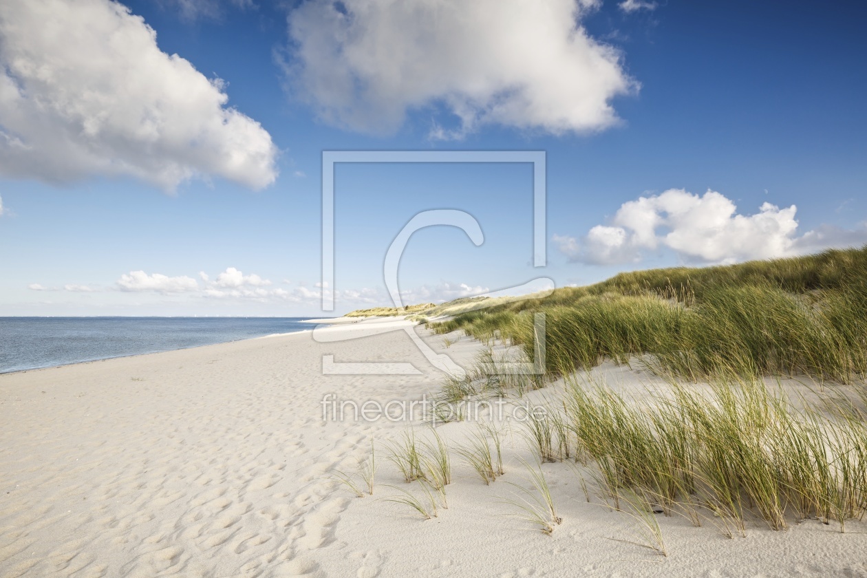 Bild-Nr.: 11821931 Sylt `Insel der Horizonte erstellt von Ursula Reins