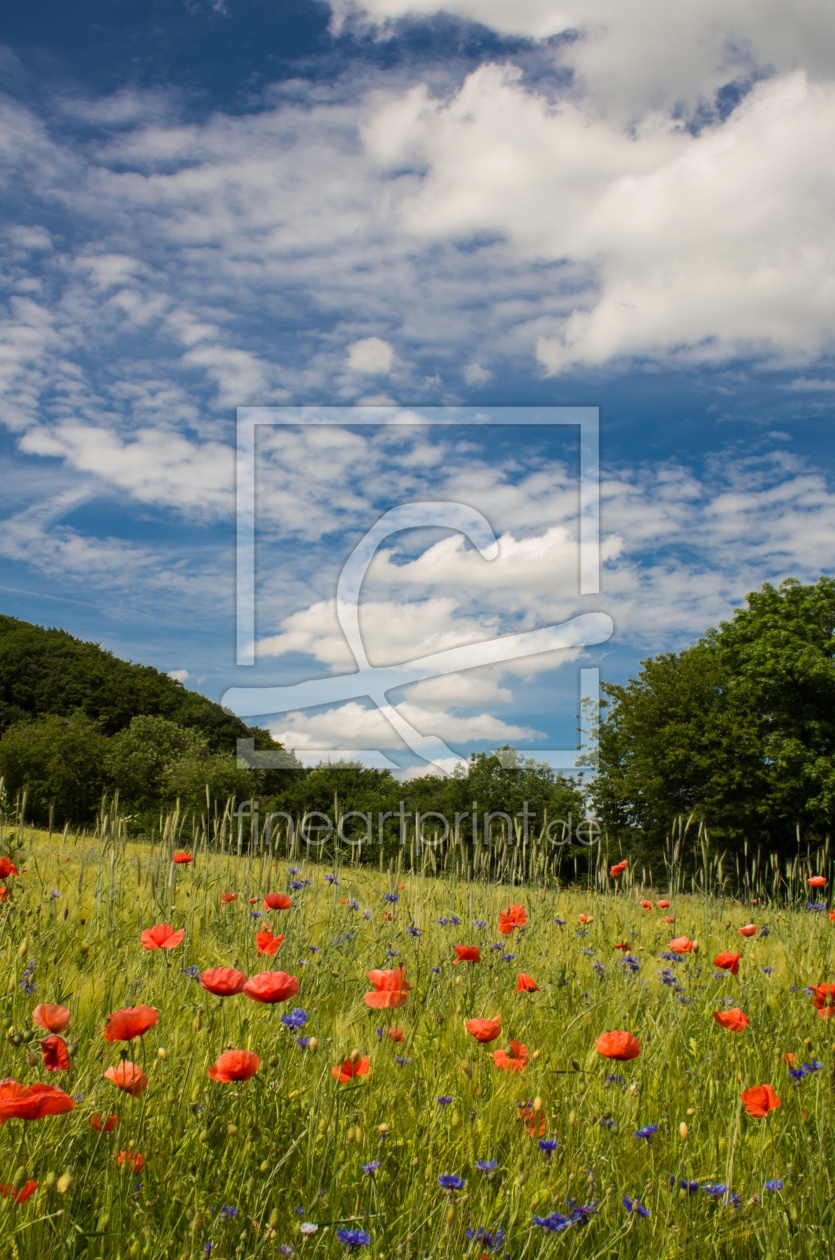 Bild-Nr.: 11822305 Wolken überm Mohnfeld erstellt von Fototommi