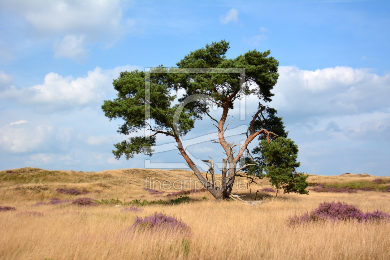 Bild-Nr.: 11823061 Der Baum erstellt von GUGIGEI