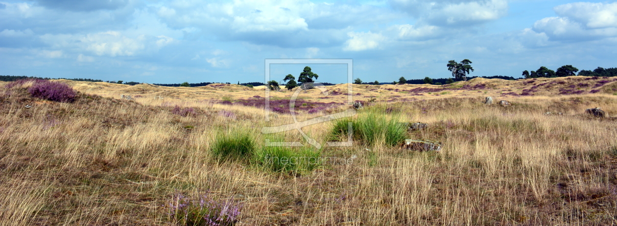 Bild-Nr.: 11823065 Heide-Panorama erstellt von GUGIGEI