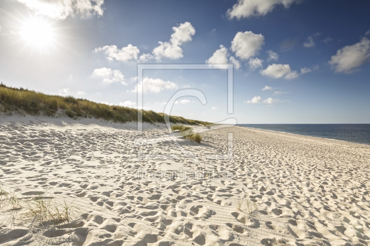 Bild-Nr.: 11824209 Sylt Weststrand erstellt von Ursula Reins