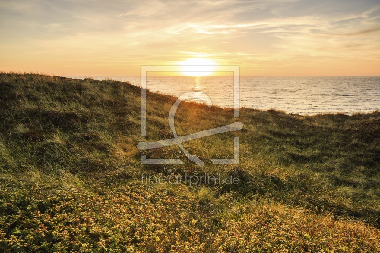 Bild-Nr.: 11825037 Abendsonne über Sylt Bild-Nr.: 11825037 Abendsonne über Sylt erstellt von Ursula Reins