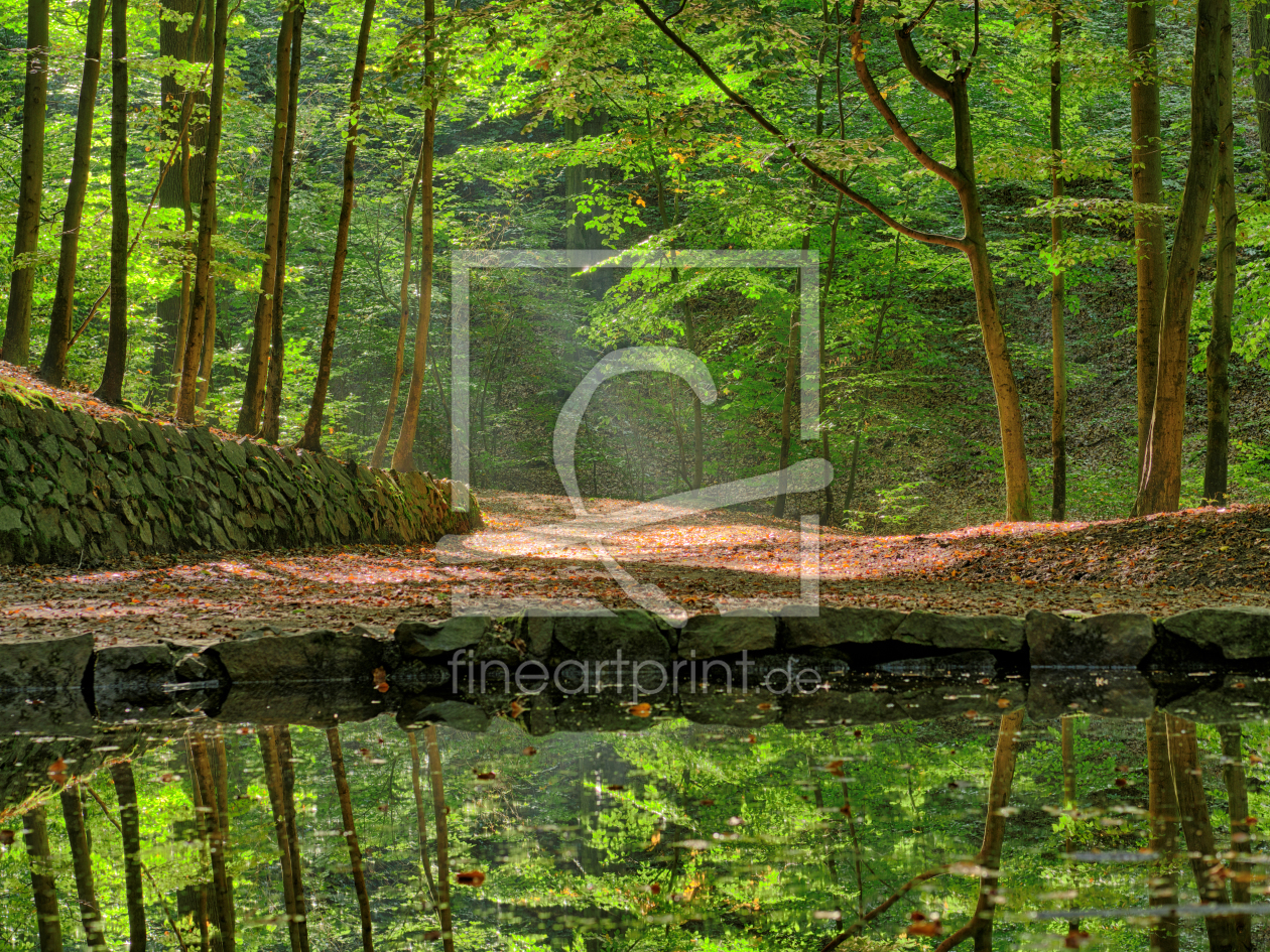 Bild-Nr.: 11826845 Teichgrundquelle in der Dresdner Heide erstellt von dresdner