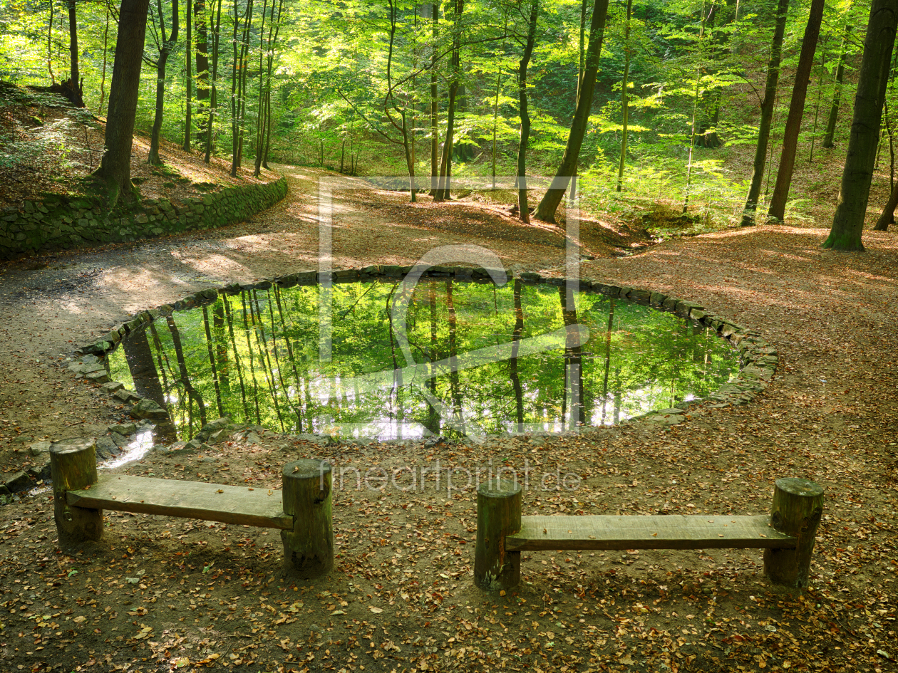 Bild-Nr.: 11826873 Teichgrundquelle in der Dresdner Heide erstellt von dresdner