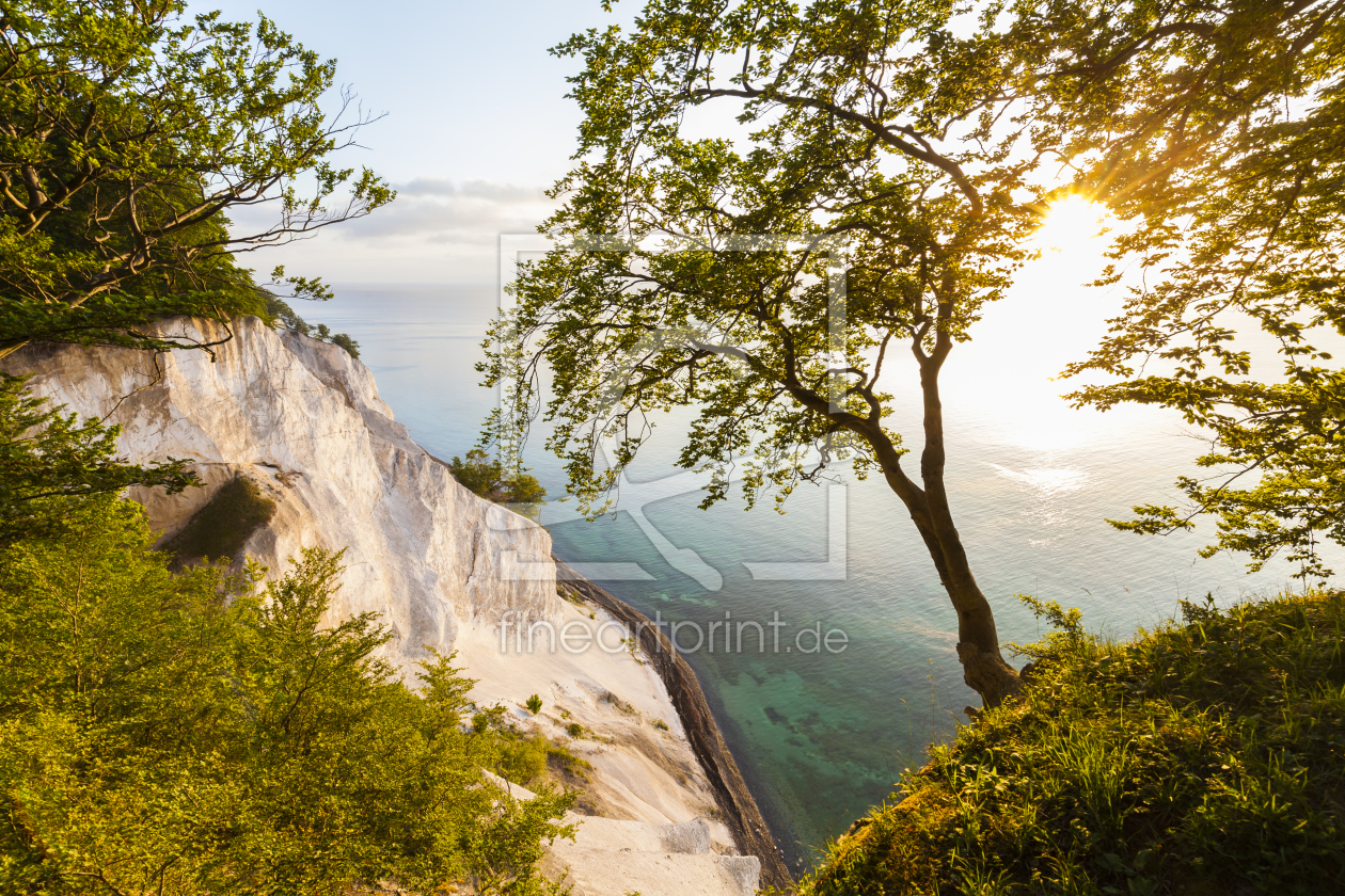 Bild-Nr.: 11828583 MÖNS KLINT erstellt von dieterich