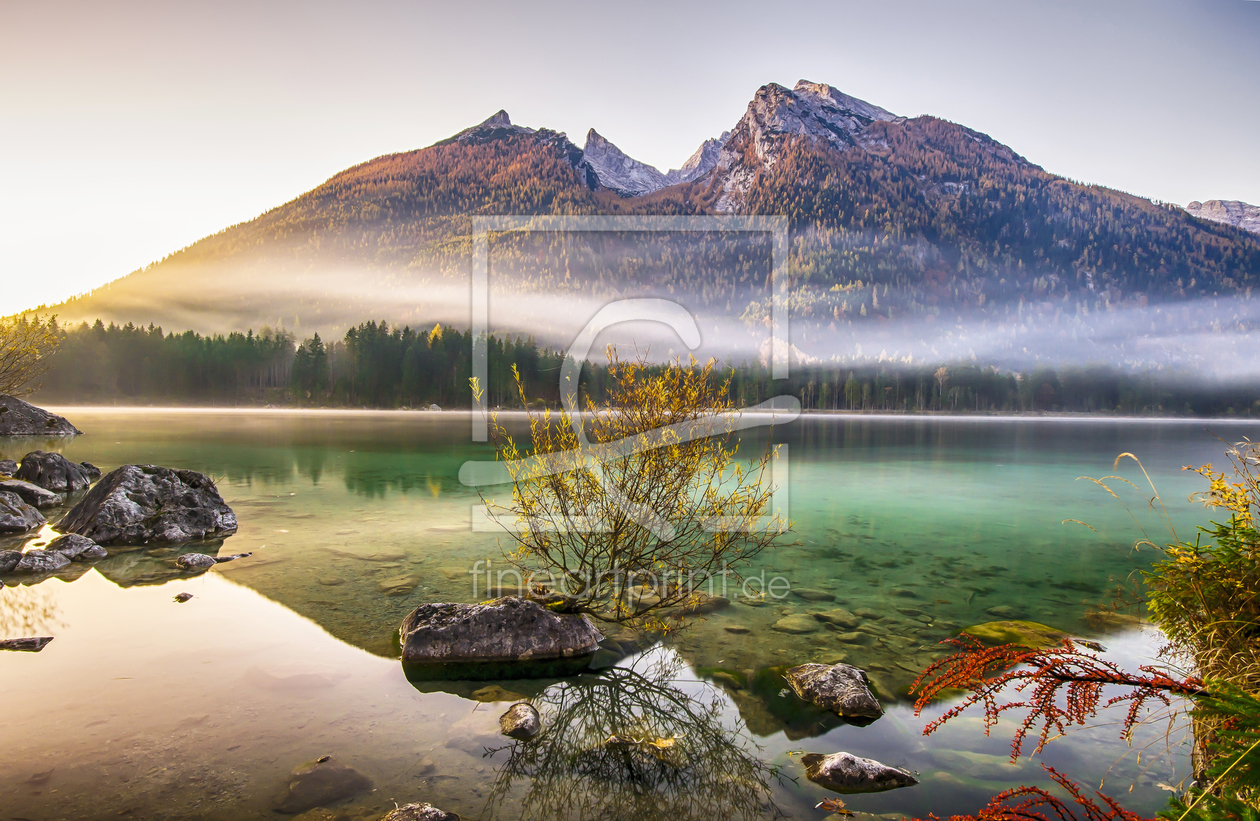 Bild-Nr.: 11829459 am Hintersee erstellt von AlenaTerbachFotografie