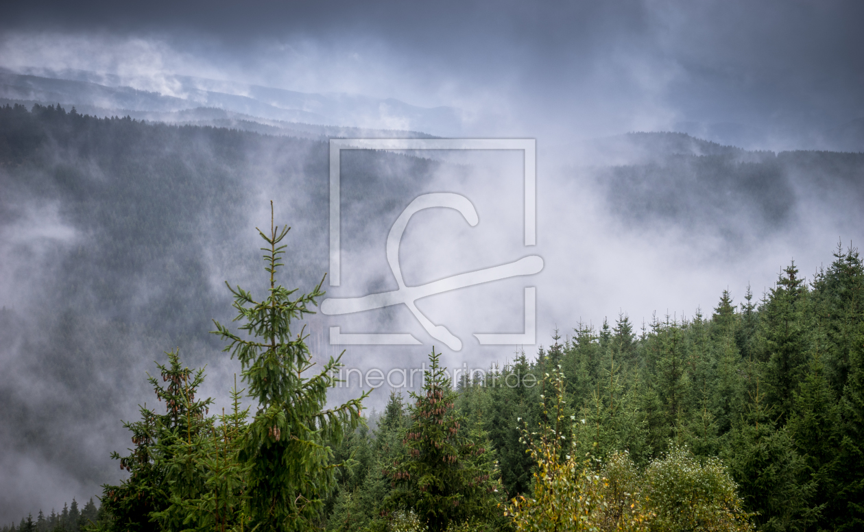 Bild-Nr.: 11829981 Nebel im Harz erstellt von Steffen Henze