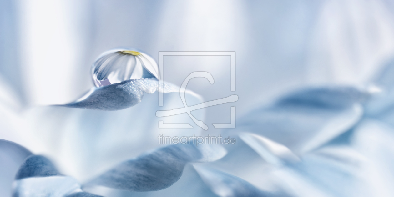 Bild-Nr.: 11830249 Blue Bild-Nr.: 11830249 Blue erstellt von Atteloi