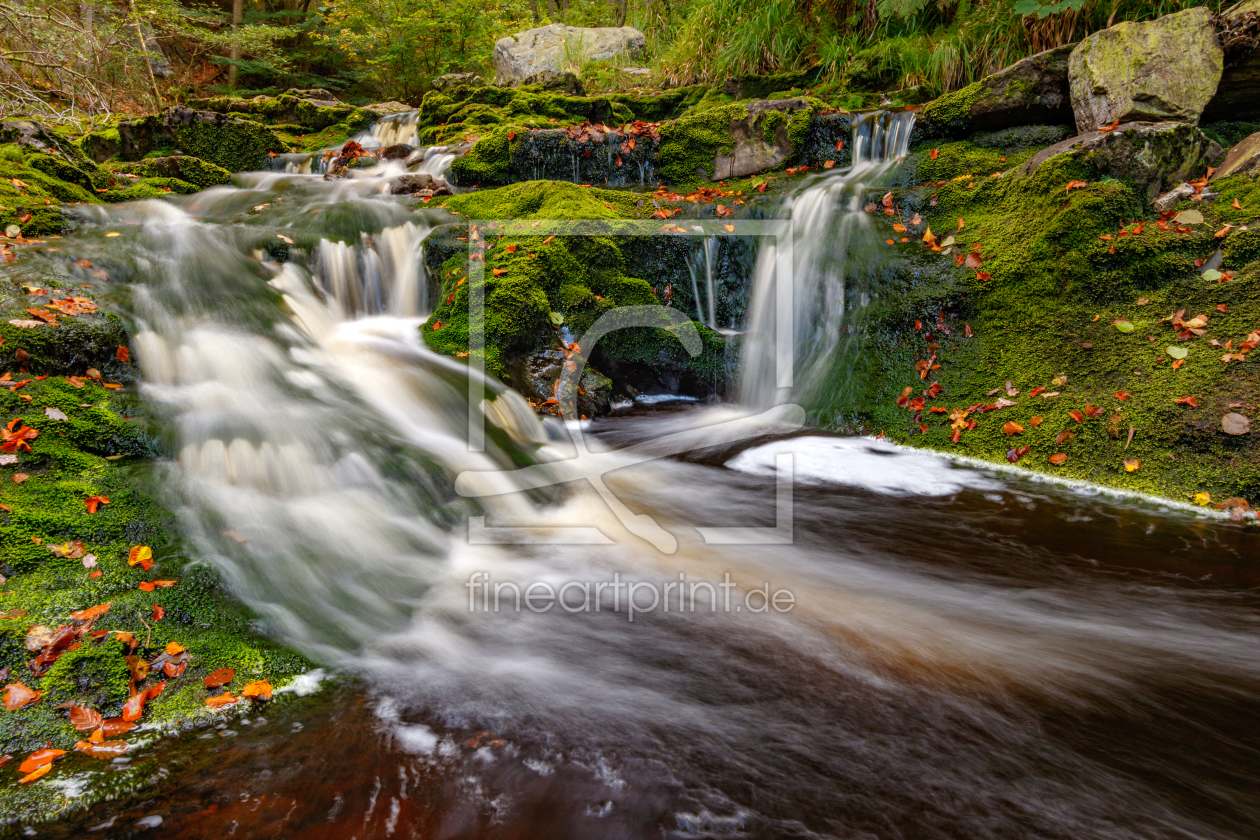 Bild-Nr.: 11830509 Herbstbach erstellt von KundenNr-325039