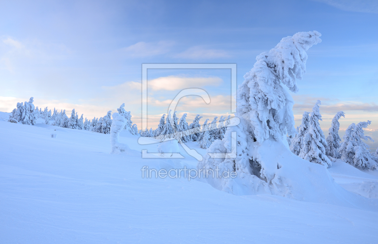 Bild-Nr.: 11830673 Winter im Harz erstellt von Christiane Dreher
