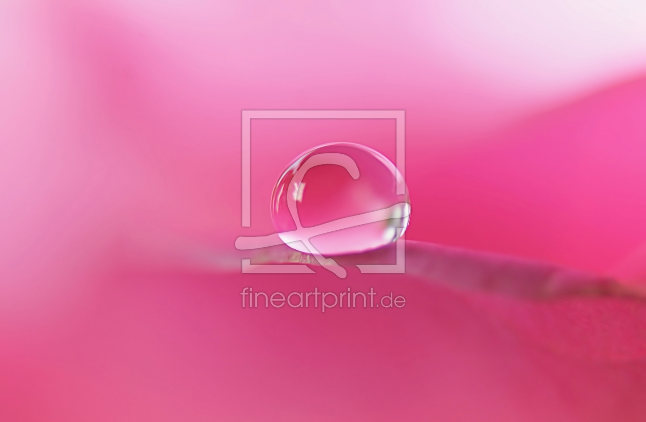 Bild-Nr.: 11831607 Rosenwasser Bild-Nr.: 11831607 Rosenwasser erstellt von youhaveadream