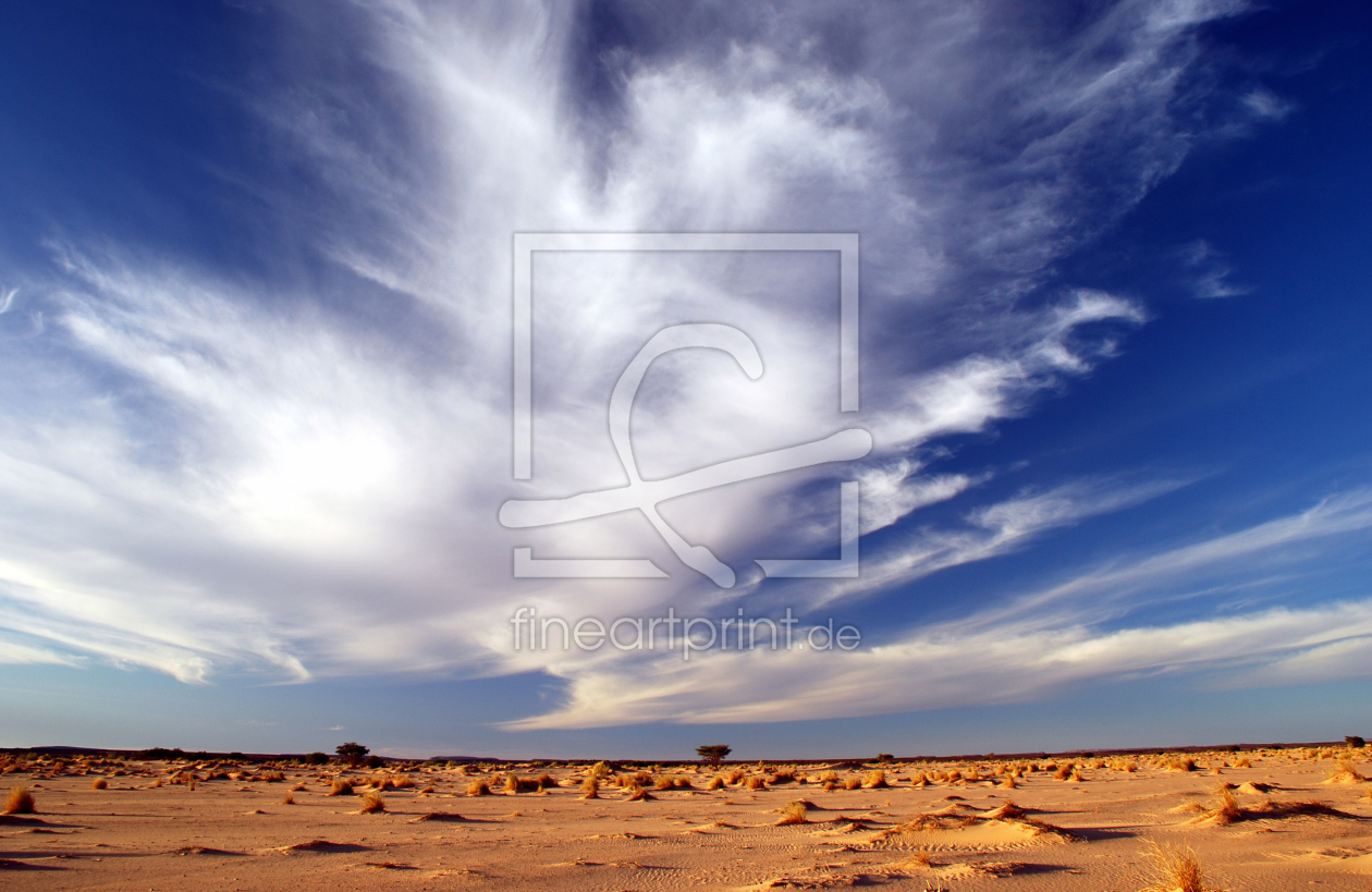 Bild-Nr.: 11832429 Dramatische Wolken über der Wüste Bild-Nr.: 11832429 Dramatische Wolken über der Wüste erstellt von KundenNr-324575