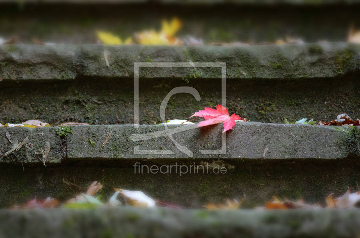 Bild-Nr.: 11832669 Herbstfarben 2 Bild-Nr.: 11832669 Herbstfarben 2 erstellt von Rolf Eschbach