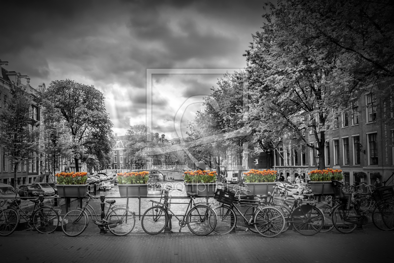 Bild-Nr.: 11835761 AMSTERDAM Herengracht - Typische Stadtansicht   erstellt von Melanie Viola
