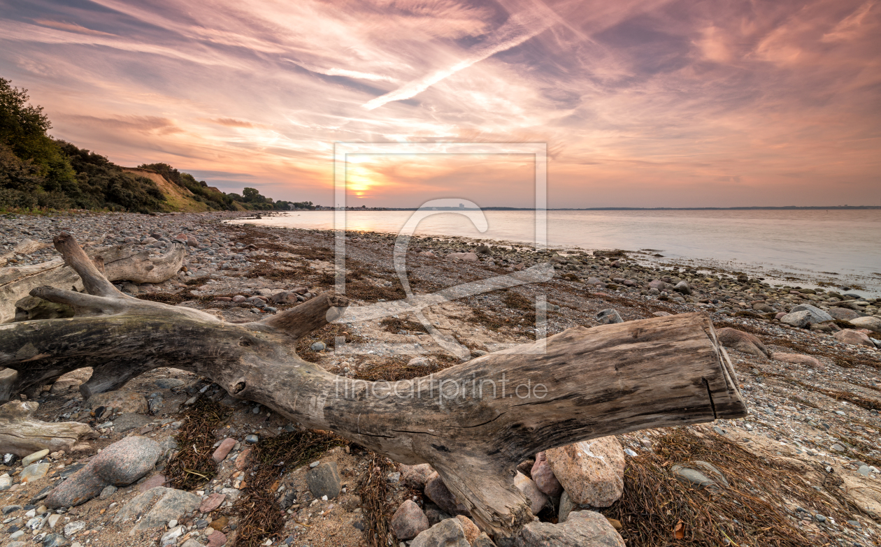 Bild-Nr.: 11836375 Strandholz im Sonnenuntergang  erstellt von Nordbilder