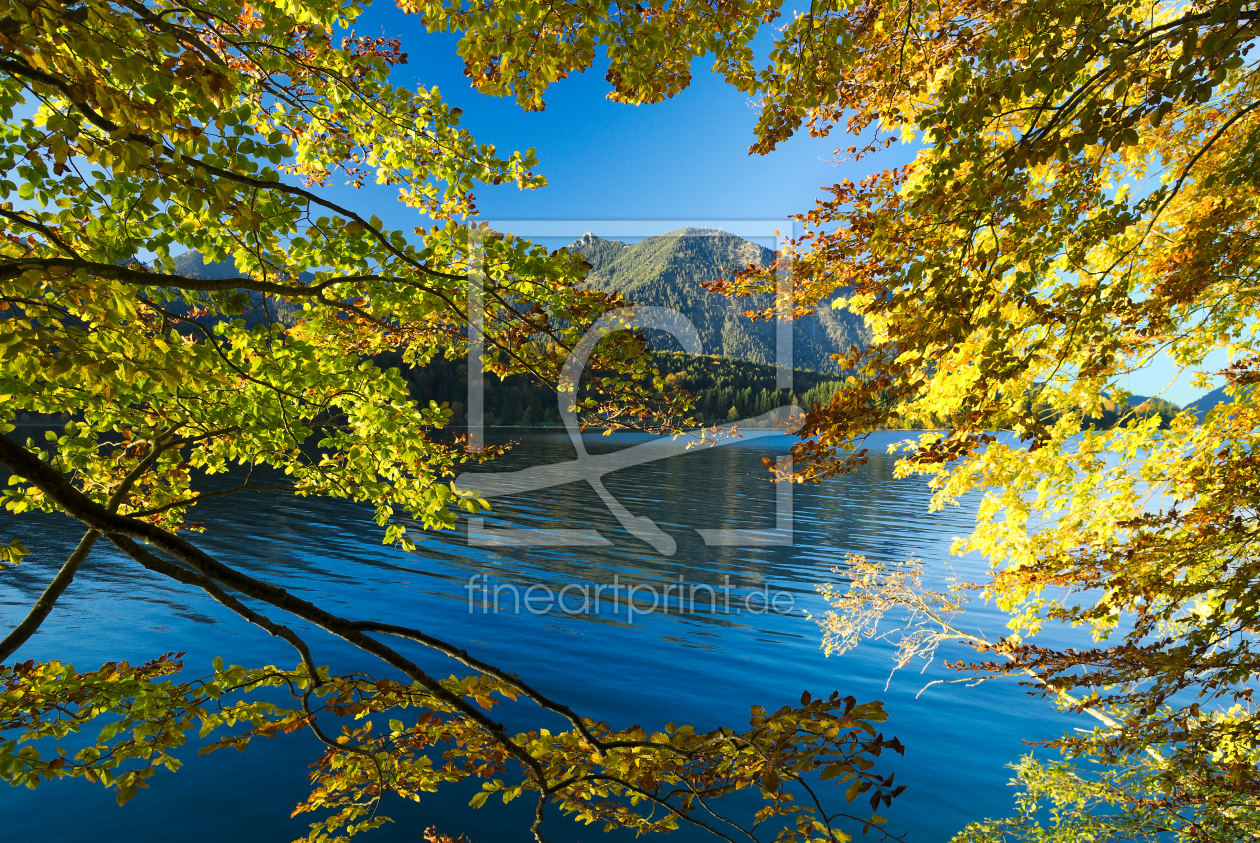 Bild-Nr.: 11836599 Herbstlicher Walchensee erstellt von Luchsknipser