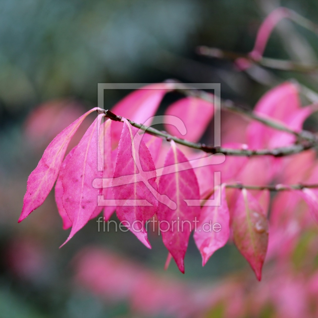 Bild-Nr.: 11838841 Herbst erstellt von margoscha08