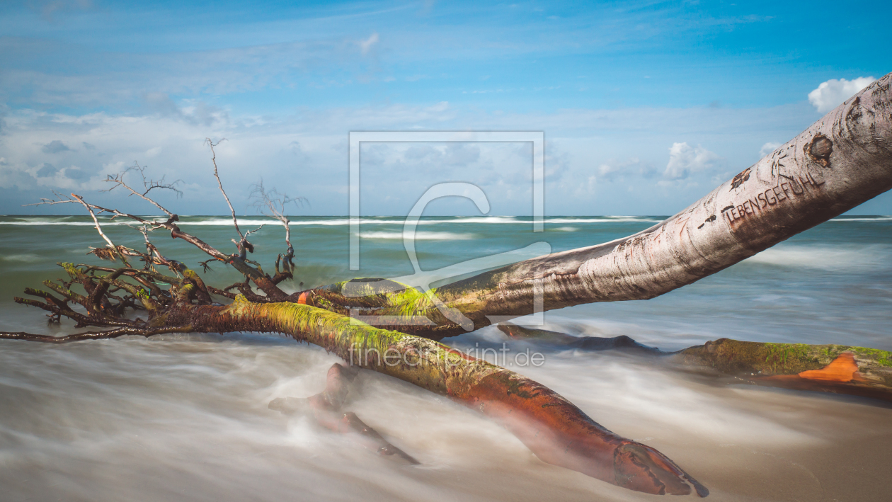 Bild-Nr.: 11839627 Ostsee Darßer Weststrand erstellt von Mohr-Moments-Photography