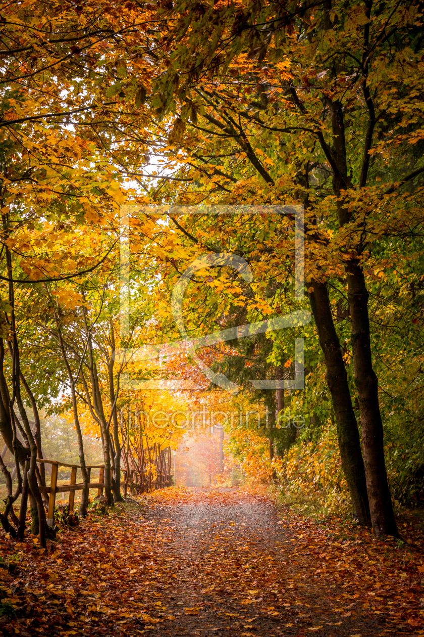 Bild-Nr.: 11840495 Herbstweg erstellt von Steffen Henze