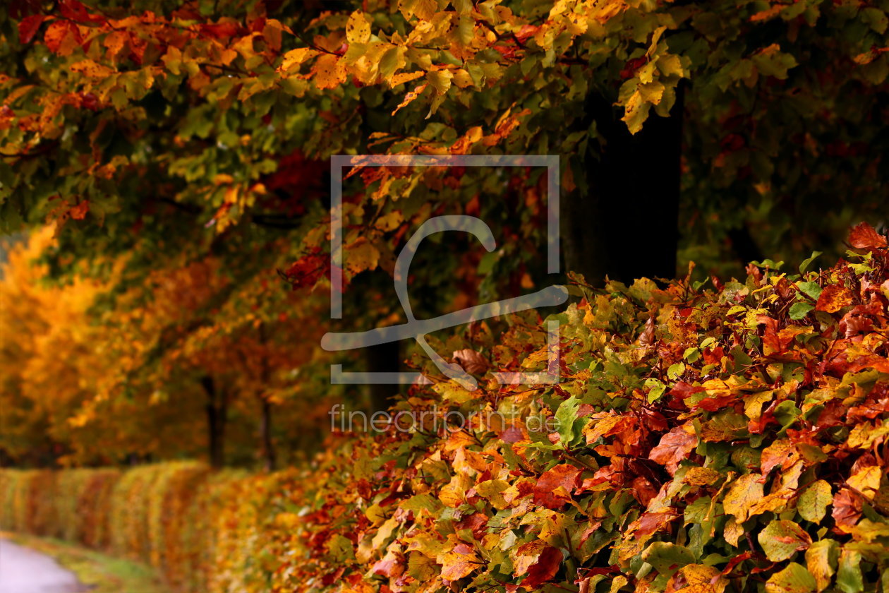 Bild-Nr.: 11840787 Herbstfarben erstellt von Heike Hultsch