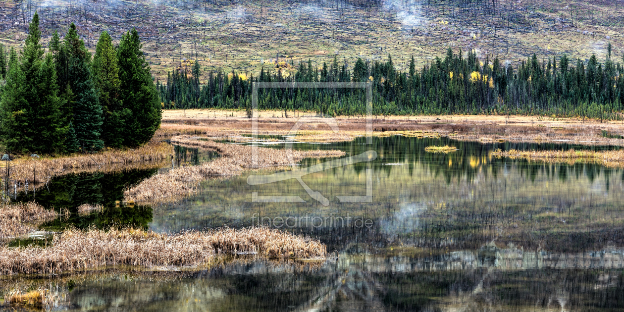 Bild-Nr.: 11840847 Yellowstone Feuchtgebiert erstellt von TomKli