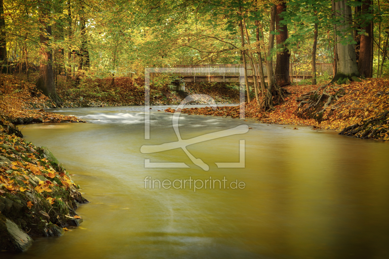 Bild-Nr.: 11840863 Chemnitzer Herbstimpression erstellt von Daniela Beyer