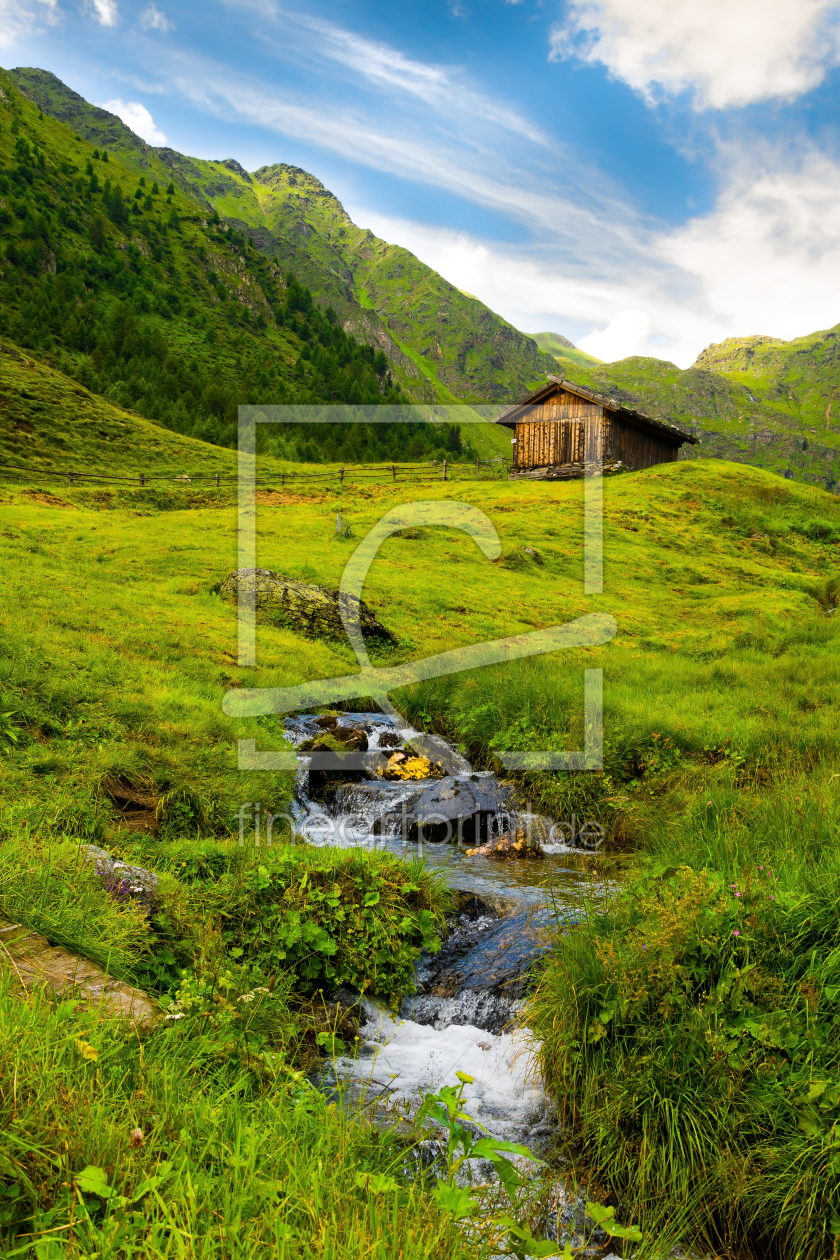 Bild-Nr.: 11840975 Sommer auf der Alm erstellt von Reiner Würz